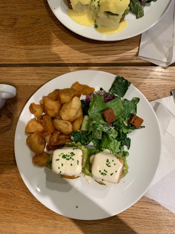 photo of Heirloom Vegetarian Avocado Benny shared by @ashleyrenee on  23 Dec 2019 - review