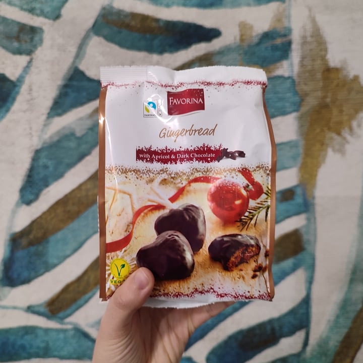 photo of Favorina Gingerbread With Apricot & Dark Chocolate shared by @hella on  04 Nov 2022 - review