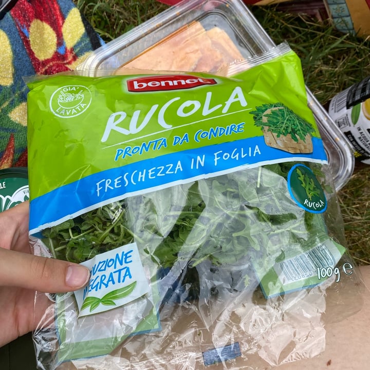 photo of Bennet Rucola shared by @kikkagi on  29 Jun 2022 - review