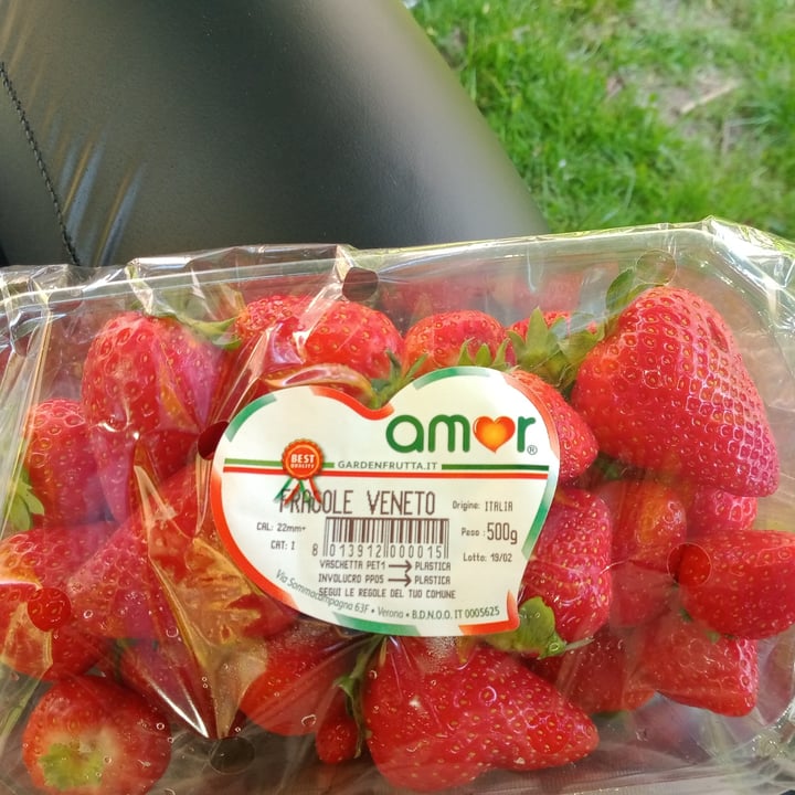 photo of Garden frutta Fragole shared by @lindanichilist on  11 May 2022 - review