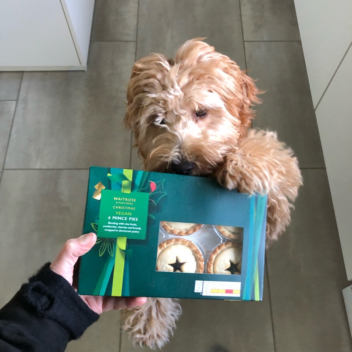 Waitrose Christmas Vegan Mince Pies Reviews Abillion waitrose-christmas-vegan-mince-pies-reviews-abillion