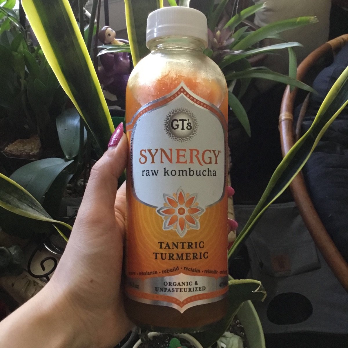 Synergy Tantric Turmeric Reviews abillion