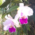 barbarah81 @barbarah81 profile image