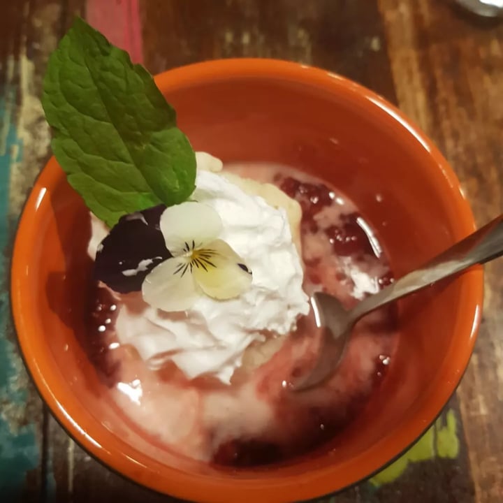 photo of BioCafe Hot Raspberry Compote with Ice Cream and Whipped Cream GF shared by @veganpaw on  22 Oct 2022 - review