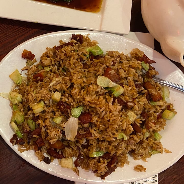 review photo of Bodhi Kosher Vegetarian Restaurant Vegan fried rice shared by @viviantothewu on 23 Jul 2022 - review