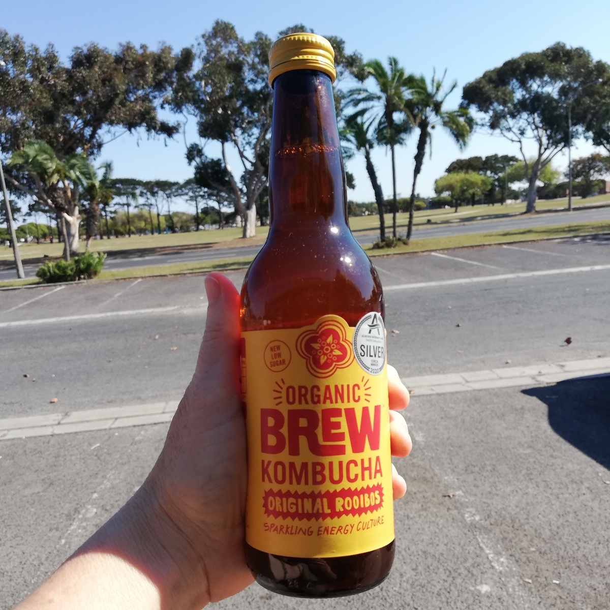 Organic Brew Kombucha Original Rooibos Reviews abillion