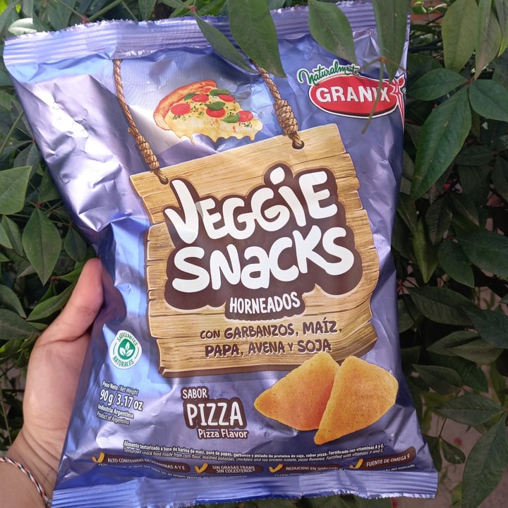 photo of Granix Veggie Snacks sabor Pizza shared by @veggiecocina on  29 Jun 2021 - review