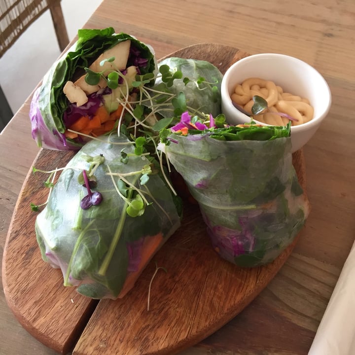 photo of The Conscious Kitchen Vietnamese Summer Rolls shared by @grantvanhelsing on  29 Jul 2020 - review