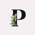 lapibaplanta @lapibaplanta profile image