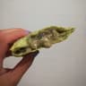 Doritas