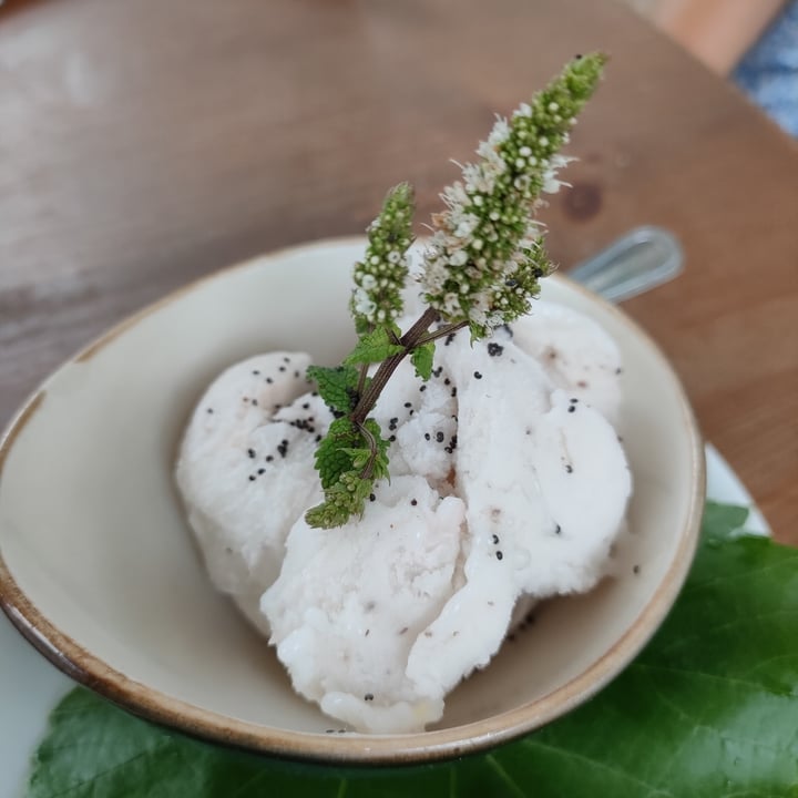 review photo of Restaurante la Paloma Vegan Coconut Ice Cream shared by @andreavisconti on 21 Jun 2022 - review