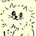 vegatta @vegatta profile image