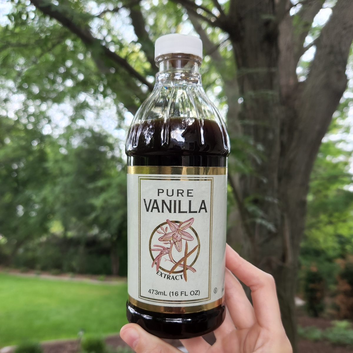 Kirkland Signature Estratto Puro Di Vaniglia – Bottiglia Da 473 Ml – 100% Naturale, Da Baccelli Di Vaniglia Planifolia – Per Dolci, Bevande E Ricette