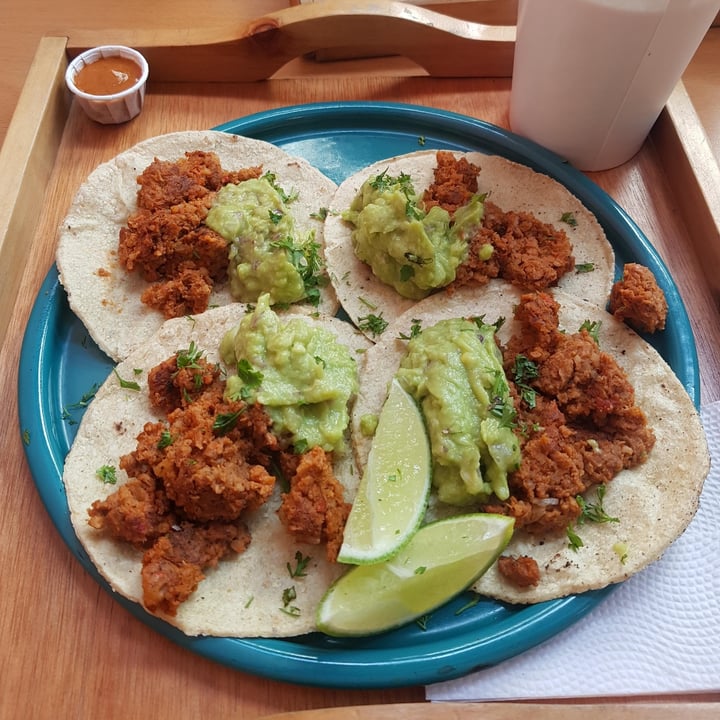 photo of Dalia Plant Power . Mex Tacos X4 shared by @beckweigmoure on  19 Aug 2022 - review