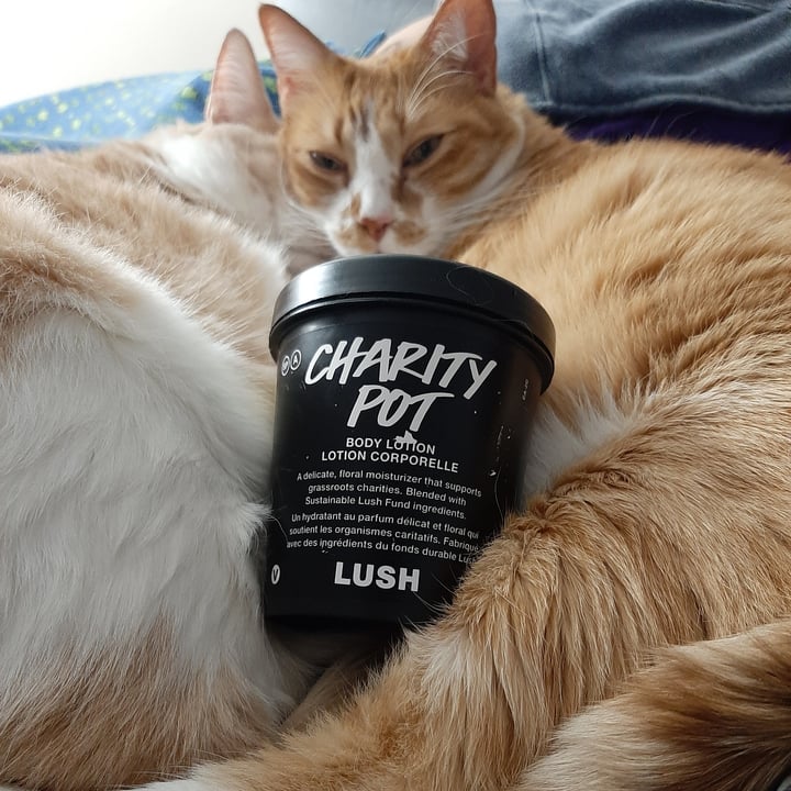review photo of LUSH Fresh Handmade Cosmetics Charity Pot shared by @liszy on 13 Jan 2021 - review