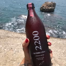 Kombucha 2200