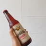 BZ Kombucha