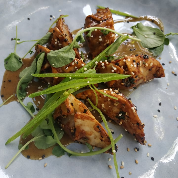 photo of Wild Food Gyozas shared by @ornitorrincavegana on  28 May 2022 - review