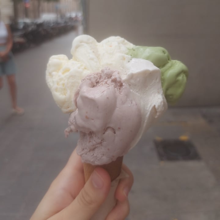 photo of Gocce di latte Vegan ice cream shared by @millascilla on  12 Jun 2022 - review