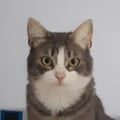 eukoalyptus @eukoalyptus profile image