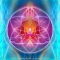 veralucia @veralucia profile image