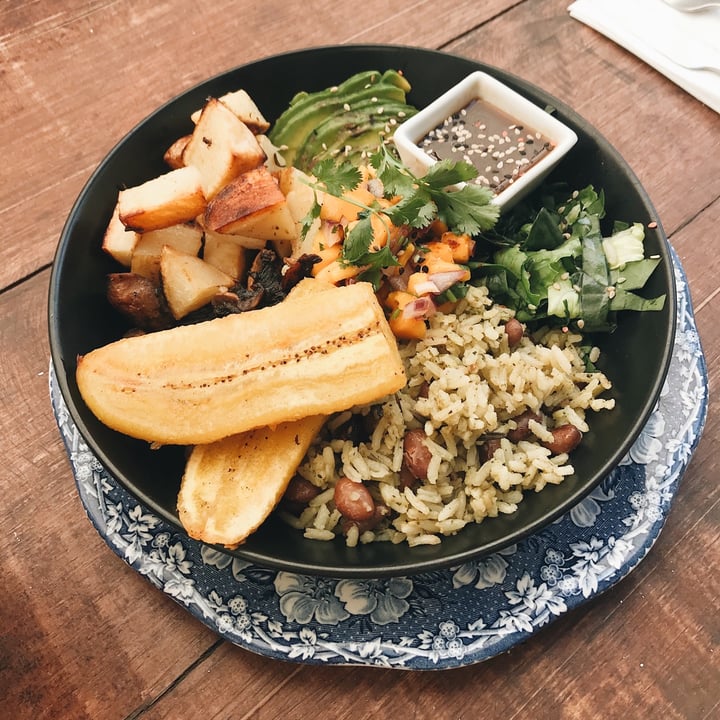 review photo of chaya & cacao Restaurant Carribean bowl shared by @thishanabee on 20 May 2021 - review