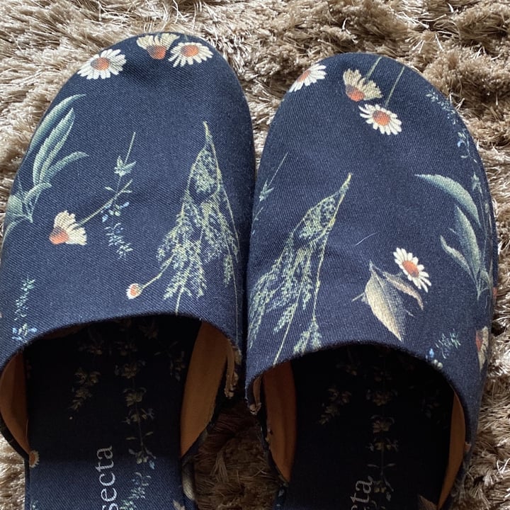 review photo of Insecta Pantufa shared by @luanda on 30 Nov 2021 - review