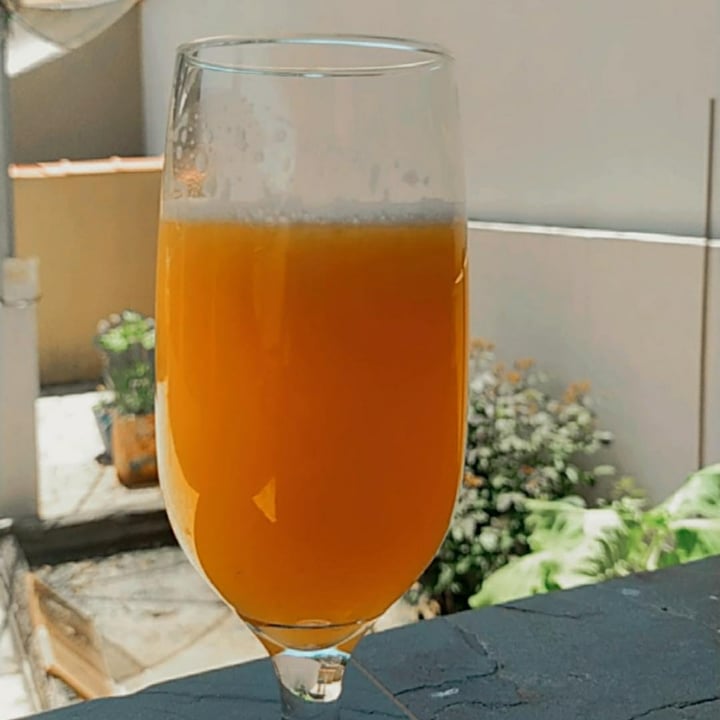 photo of MInha Casa Gourmet Suco natural de laranja (100% Vegano) shared by @daniellamuniz on  15 Oct 2022 - review