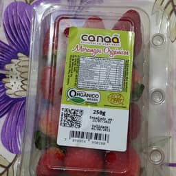 canaã