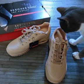Scarpe skechers memory foam zalando sales