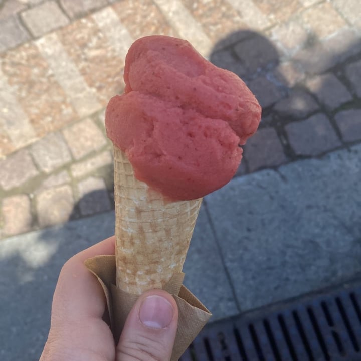 review photo of “A me mi piace” il Gelato Artigianale sempre fresco Gelato alla fragola shared by @sarafri on 21 Apr 2022 - review