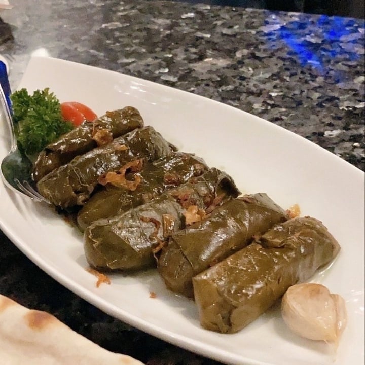 photo of Shabestan Dolma shared by @kathedrals on  20 Jul 2021 - review
