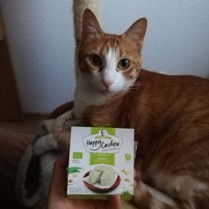 photo of Dr. Mannah's Cream Cheese Bärlauch shared by @mareikeks on  30 May 2021 - review
