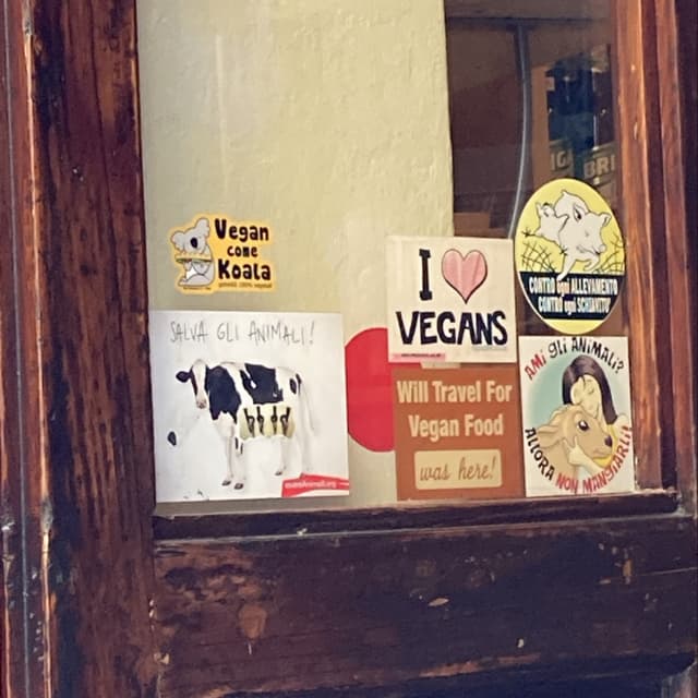 Foto del piatto “piadina con würstel di tofu”