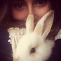 victoriamichaelsen @victoriamichaelsen profile image