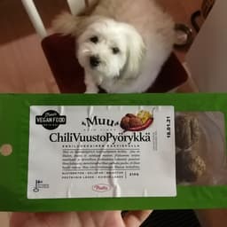 Pouttu