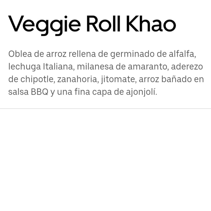 photo of Zona Veggie Restaurante Veggie Roll Khao shared by @paulana on  02 Apr 2021 - review