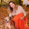 andreavasques @andreavasques profile image