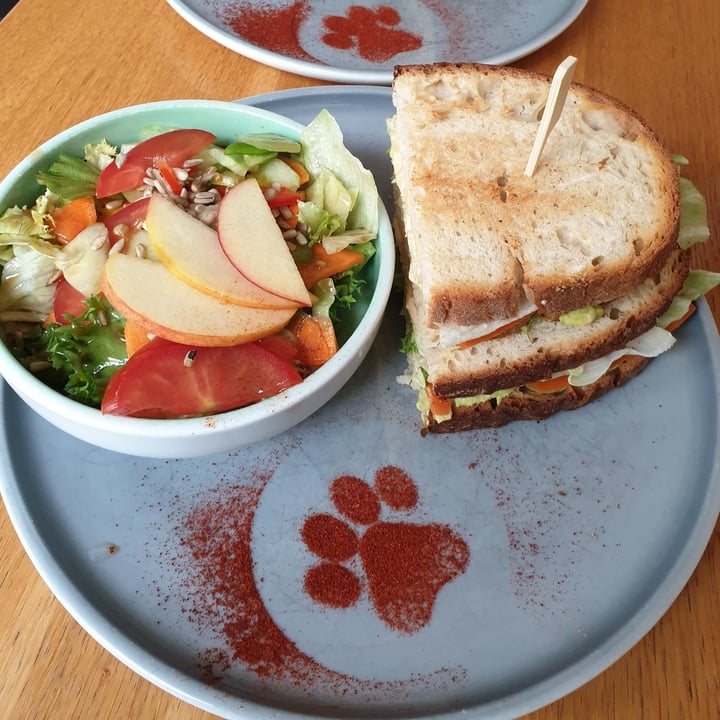 photo of Café Katzentempel Karottenlachs-Sandwich shared by @sotofu on  30 Jun 2022 - review