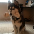 ceciitud0n @ceciitud0n profile image