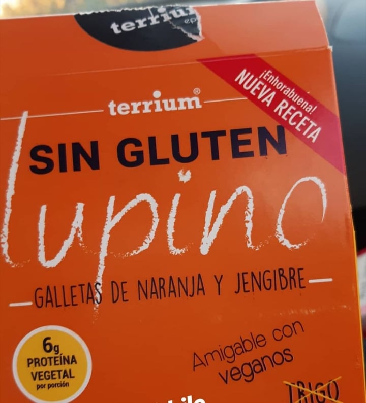 photo of Terrium Galletitas De Naranja Y Jengibre shared by @nachaalejandra on  20 Feb 2020 - review