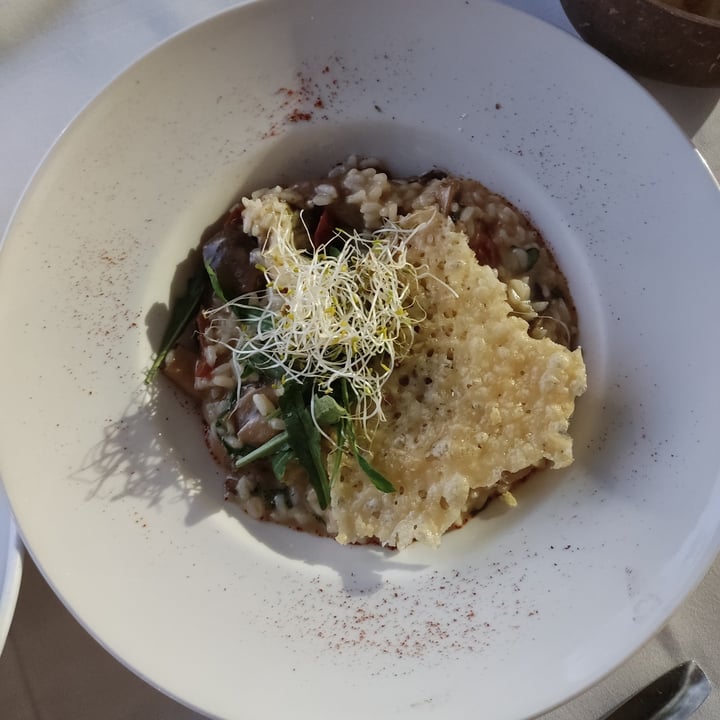 review photo of Ecocentro Risotto de champiñones con tomate seco y rúcula ( shared by @kisarhato on 23 Apr 2022 - review