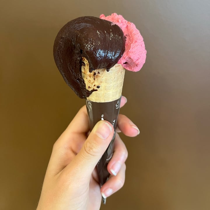 photo of Gelateria Nummy gelato cioccolato fondente e frutti di bosco shared by @giuliawally on  16 Jul 2022 - review