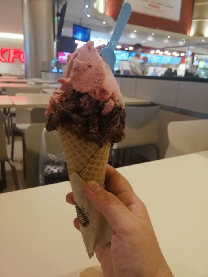 photo of Freddo NotGelato shared by @errecassia on  22 Mar 2022 - review