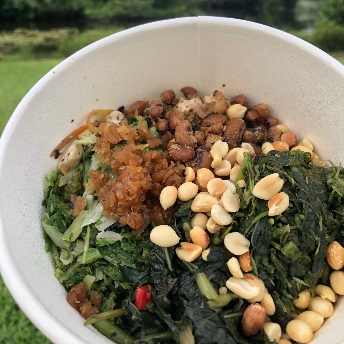 Lei Cha Rice at Fire Flies - Review by @mywildbraveheart | abillion