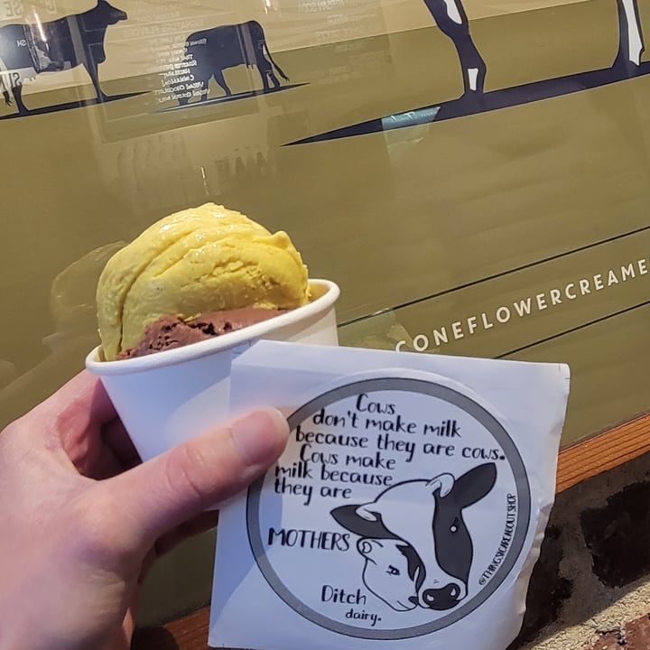 photo of Coneflower Creamery Vegan Golden Milk shared by @embraceeachdayna on  07 Jun 2022 - review