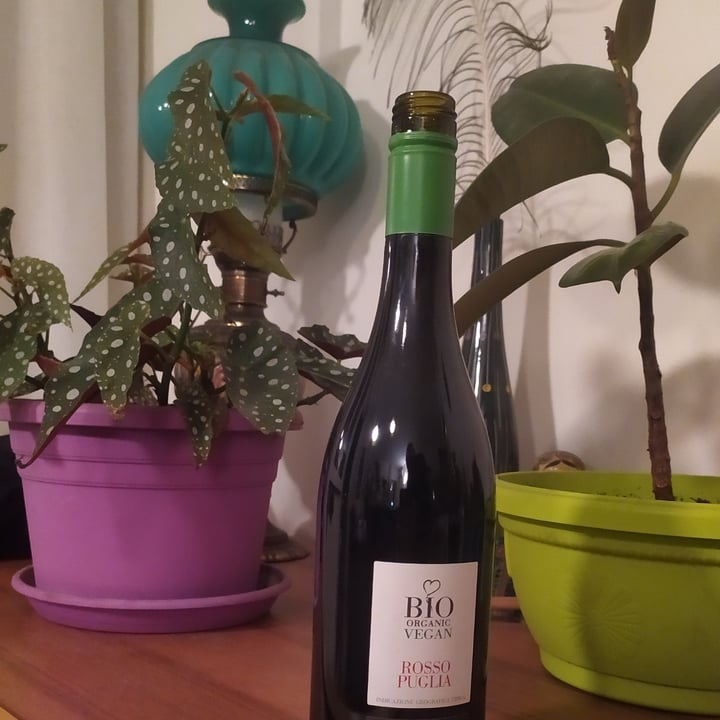 review photo of Guarini Dal 1910 Rosso di Puglia Bio shared by @raffaelep on 04 Apr 2022 - review
