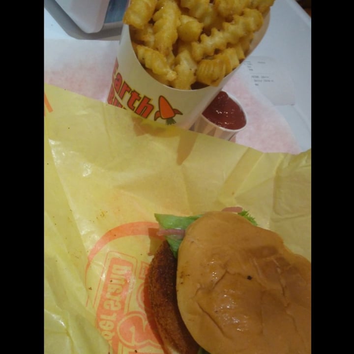 photo of Earth Burger Burger shared by @deenise on  09 Oct 2020 - review
