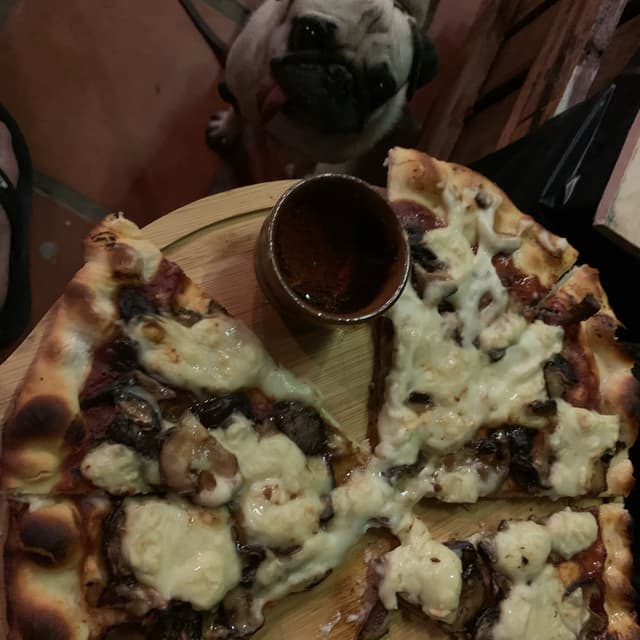 Foto del plato “Mushroom truffle oil pizza”