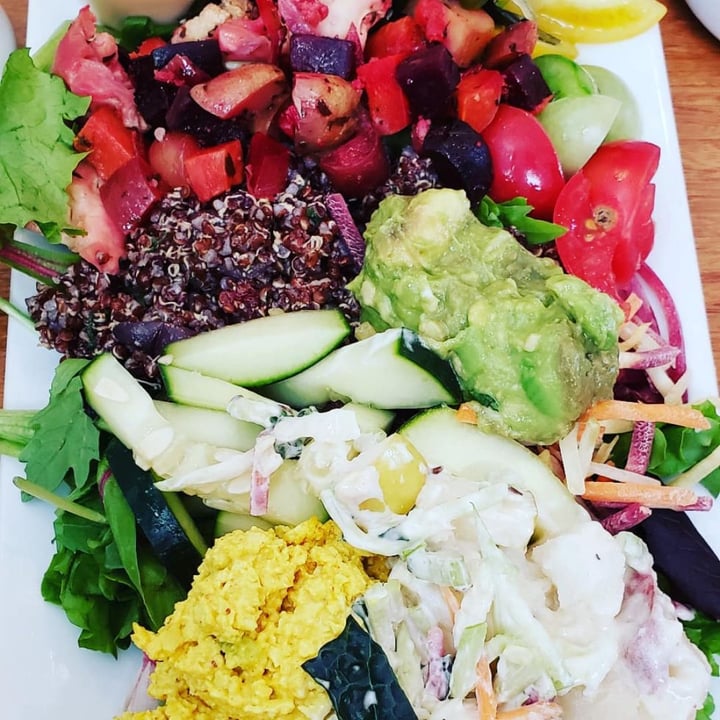 photo of Palm Greens Cafe Vegan Salad Sampler shared by @sdrockervegan on  24 May 2019 - review